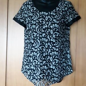 Express SeeThu Blouse